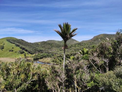 2023-01-01-Golden-Bay-11 1