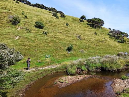 2023-01-01-Golden-Bay-12 1