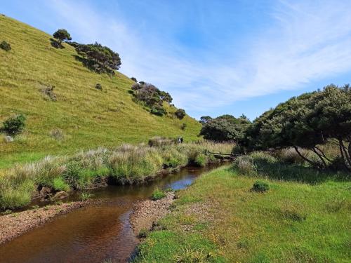 2023-01-01-Golden-Bay-13 1