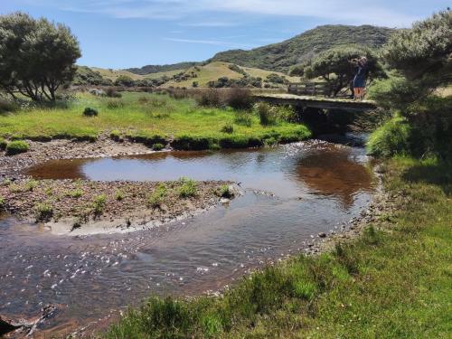 2023-01-01-Golden-Bay-14 1