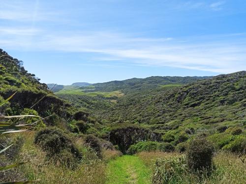 2023-01-01-Golden-Bay-16 1