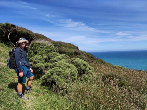 2023-01-01-Golden-Bay-17 1