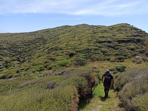 2023-01-01-Golden-Bay-18 1