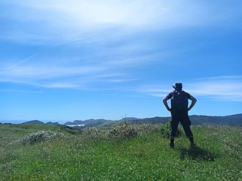 2023-01-01-Golden-Bay-22 1