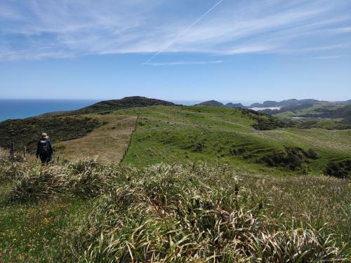 2023-01-01-Golden-Bay-23 1