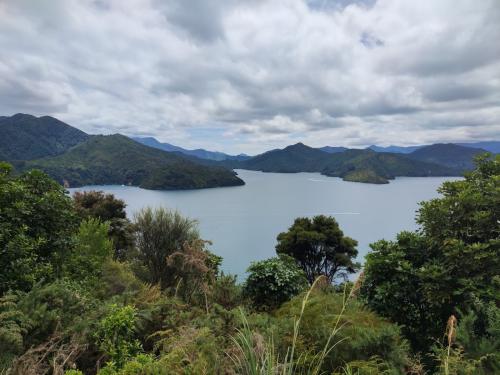 2023-01-05-Marlborough-Sounds-07 1