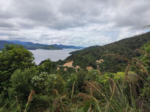 2023-01-05-Marlborough-Sounds-08 1