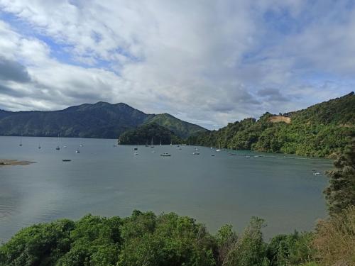 2023-01-05-Marlborough-Sounds-19 1