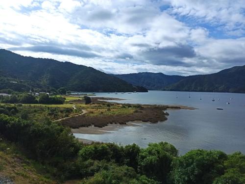2023-01-05-Marlborough-Sounds-20 1
