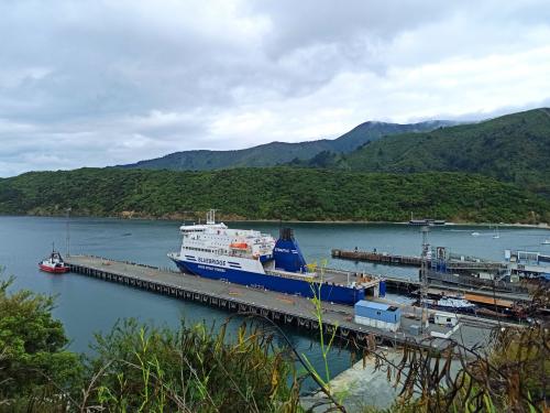 2023-01-05-Marlborough-Sounds-25 1