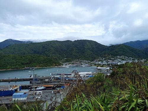 2023-01-05-Marlborough-Sounds-27 1