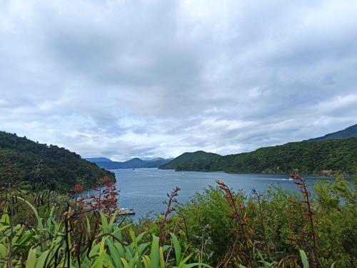 2023-01-05-Marlborough-Sounds-28 1
