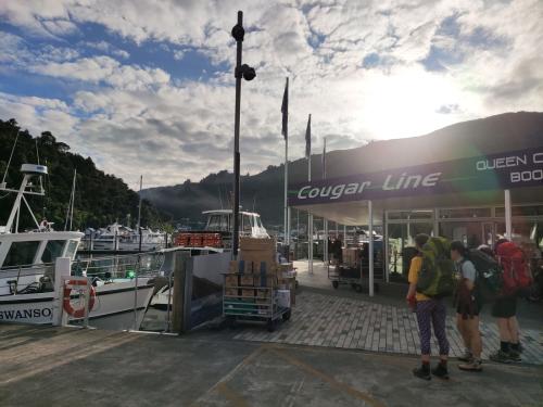 2023-01-05-Marlborough-Sounds-30 1