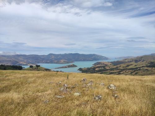 2023-01-07-Akaroa-11 1