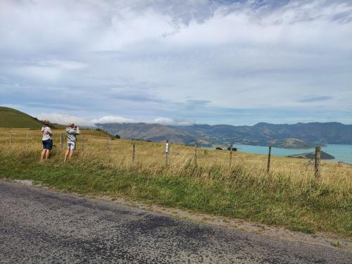 2023-01-07-Akaroa-13 1