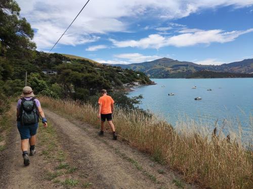 2023-01-07-Akaroa-23 1