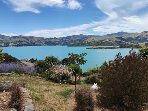 2023-01-07-Akaroa-24 1