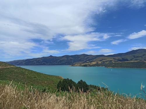 2023-01-07-Akaroa-26 1