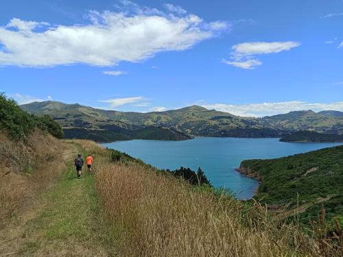 2023-01-07-Akaroa-28 1