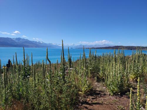 2023-01-09-Twizel-29 1