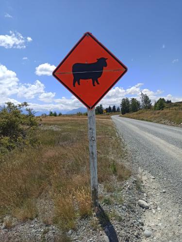 2023-01-11-Twizel-16 1