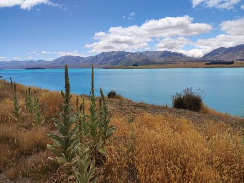 2023-01-12-Twizel-11 1