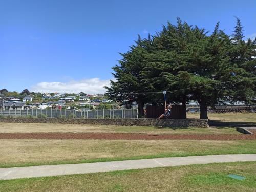 2023-01-13-Catlins-004 1