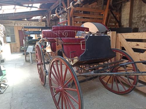 2023-01-13-Catlins-016 1