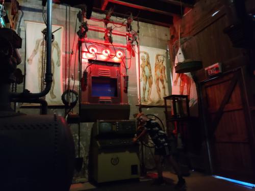 2023-01-13-Catlins-060 1