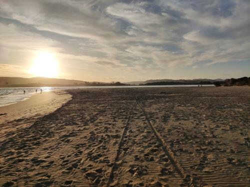 2023-01-13-Catlins-091 1