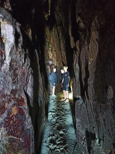 2023-01-14-Catlins-23 1