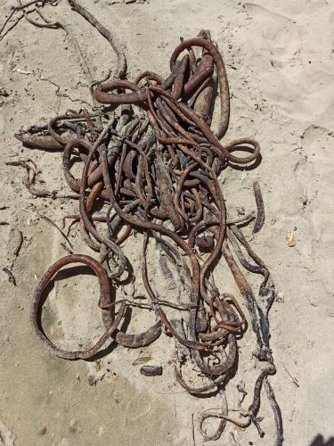 2023-01-14-Catlins-26 1