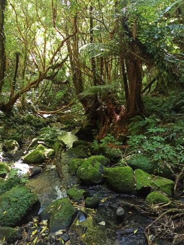 2023-01-14-Catlins-44 1