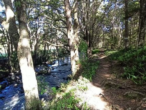 2023-01-16-Catlins-13 1