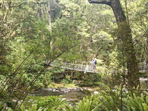 2023-01-16-Catlins-26 1