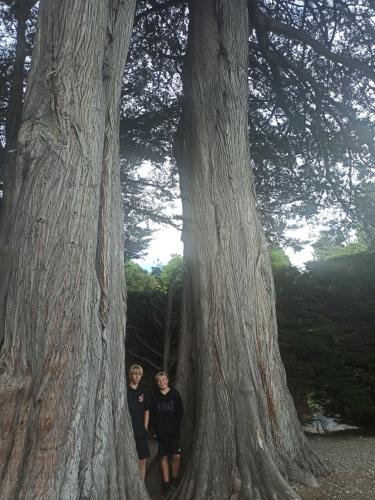 2023-01-18-Fiordlands-04 1