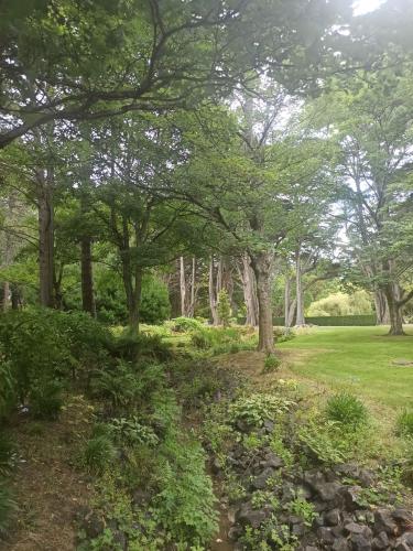 2023-01-18-Fiordlands-05 1