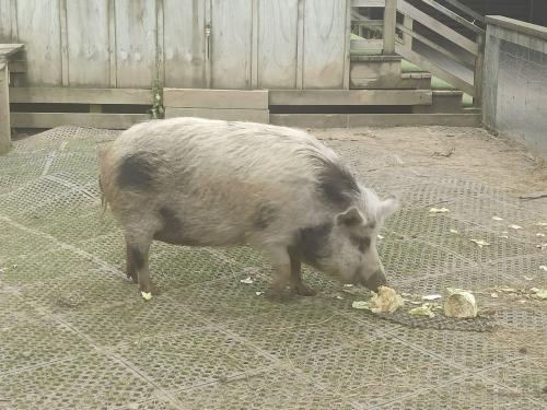 2023-01-18-Fiordlands-06 1