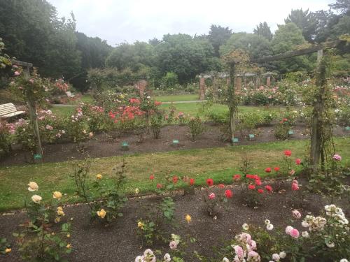 2023-01-18-Fiordlands-09 1