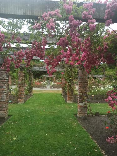 2023-01-18-Fiordlands-11 1