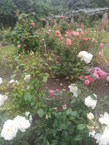 2023-01-18-Fiordlands-12 1