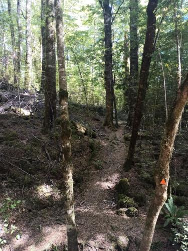 2023-01-18-Fiordlands-26 1