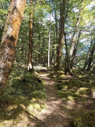 2023-01-18-Fiordlands-27 1