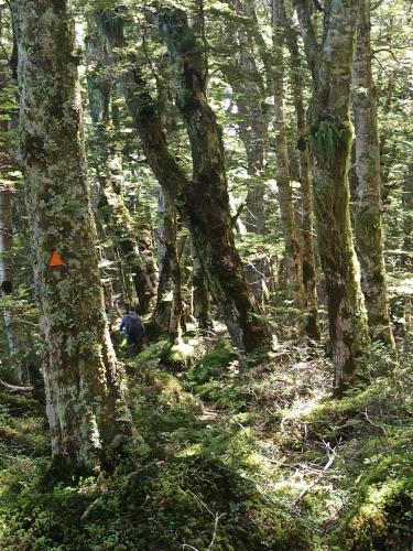 2023-01-18-Fiordlands-52 1