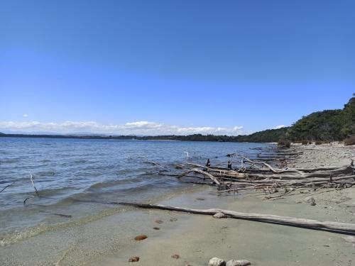 2023-01-18-Fiordlands-58 1