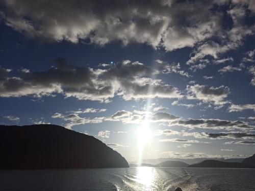 2023-01-19-Fiordlands-10 1