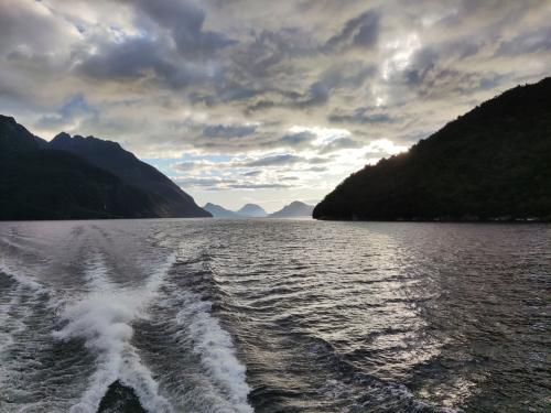 2023-01-19-Fiordlands-11 1