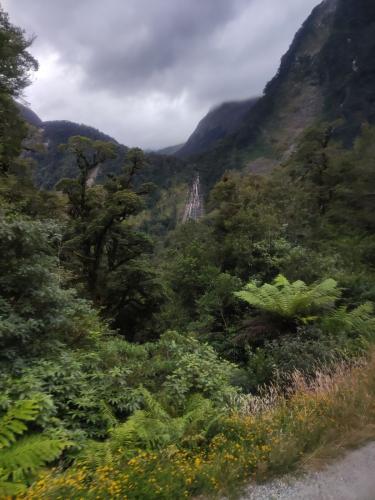 2023-01-19-Fiordlands-21 1