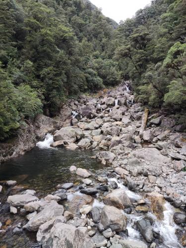 2023-01-19-Fiordlands-24 1