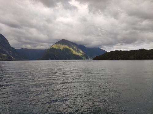 2023-01-19-Fiordlands-27 1